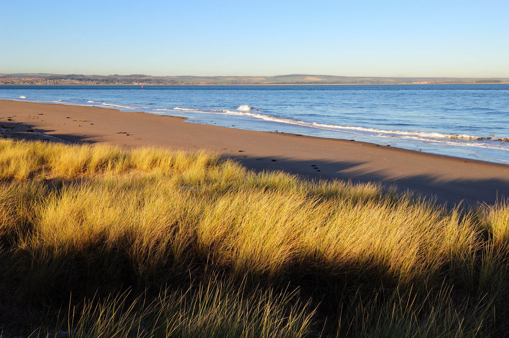 Tentsmuir Beach