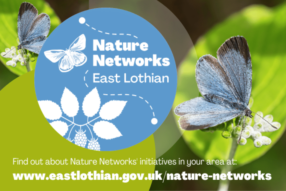 Nature Network June SMG
