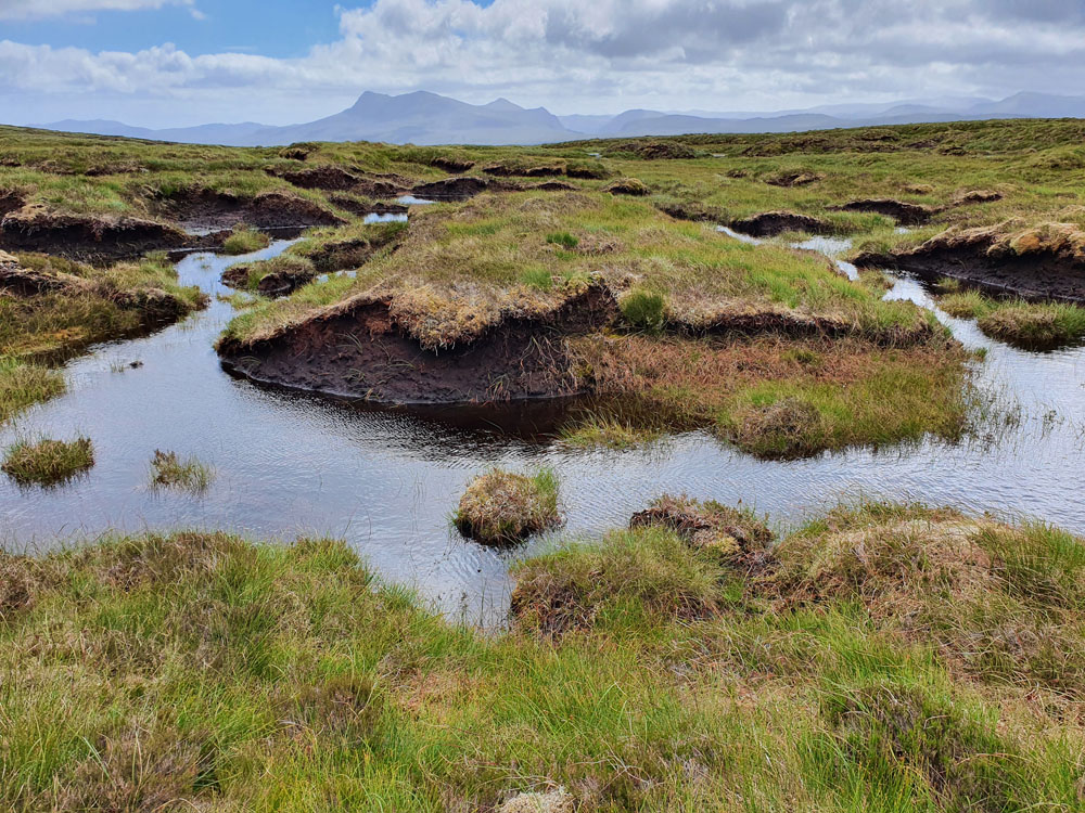 Peatland Action monitoring pilot