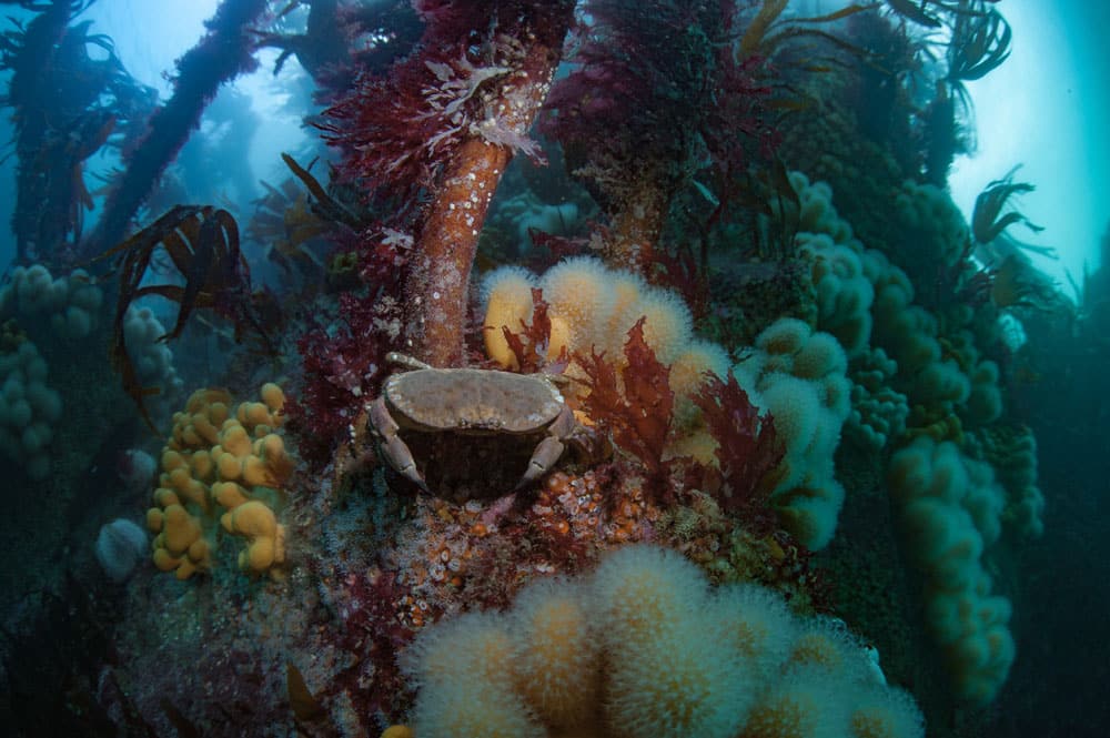 Scenic rocky reef in Loch name Madadh
