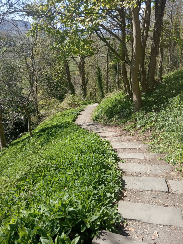Urban greenspace - Stirling