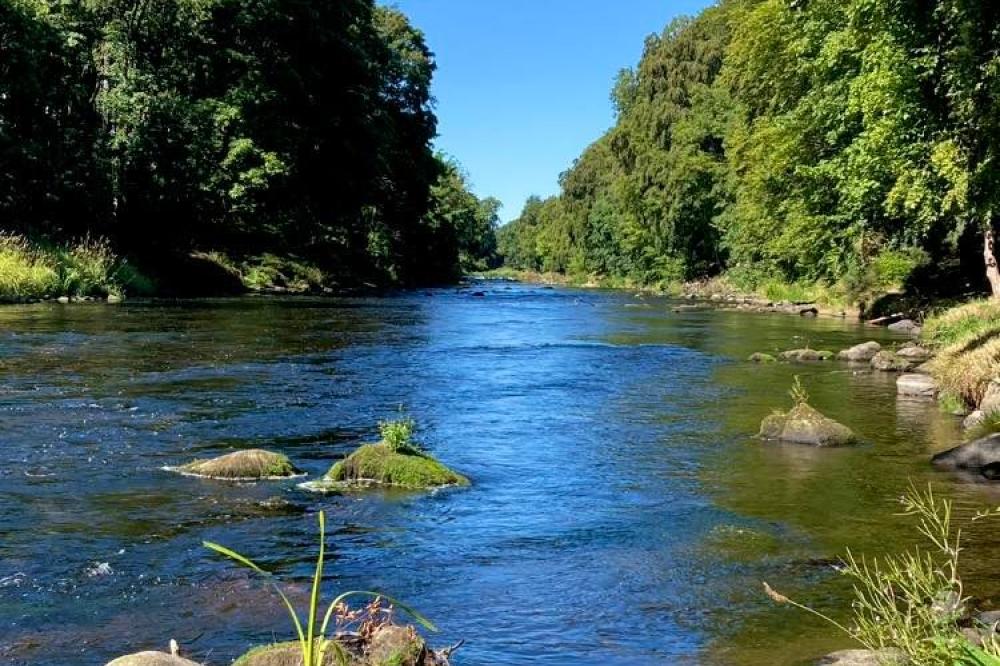 The River Don
